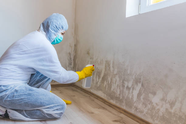 Crawl Space Mold Remediation treatment of floor joists in Lowell